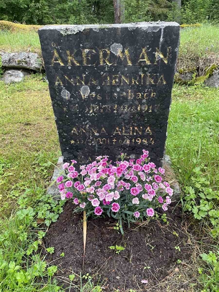 Hautatunnus: N 4 4   685