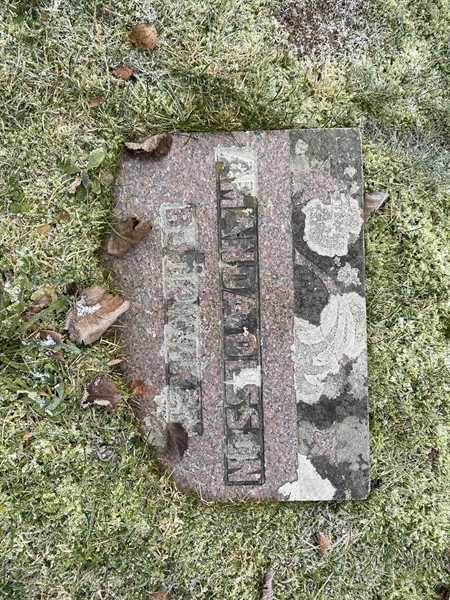 Grave number: 8 1 03   221