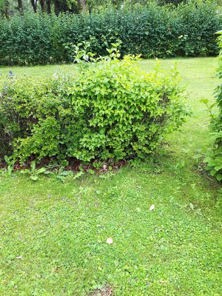 Grave number: GK F 5   585