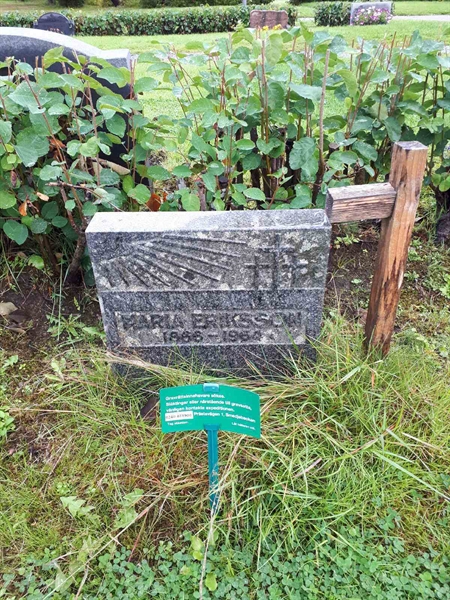 Gravnummer: NK F A    71