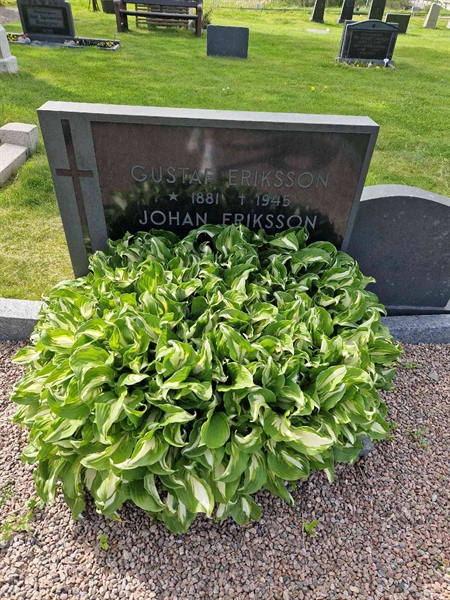 Grave number: 05 P   80
