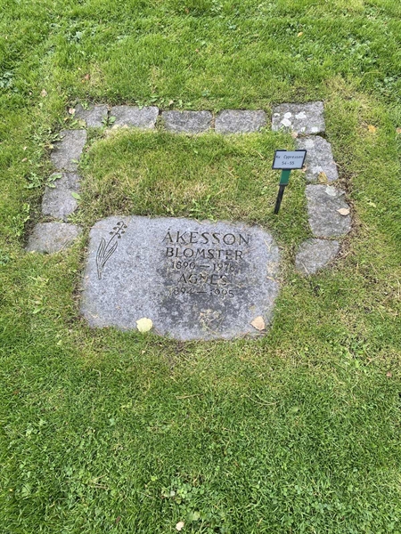 Hautatunnus: 2 C    54-55