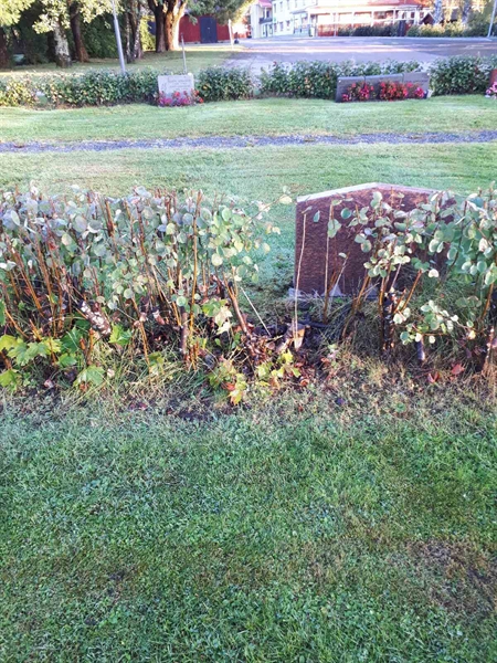 Hautatunnus: NK F B    27