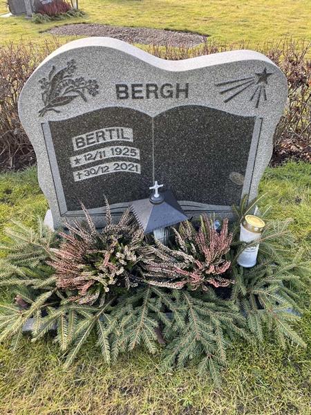 Grave number: Ärt 96 36 133