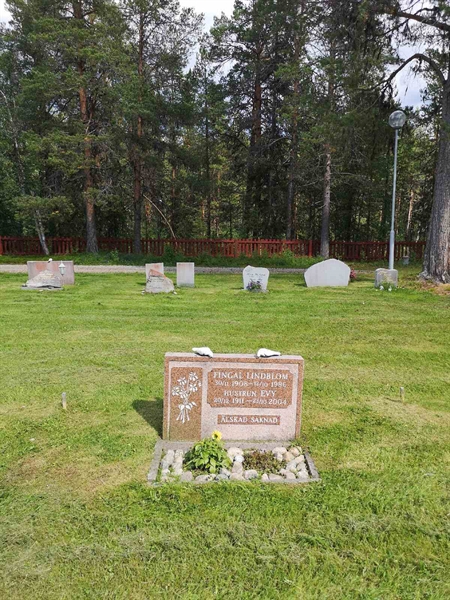 Gravnummer: PK   141