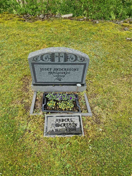 Hautatunnus: 01 C   19