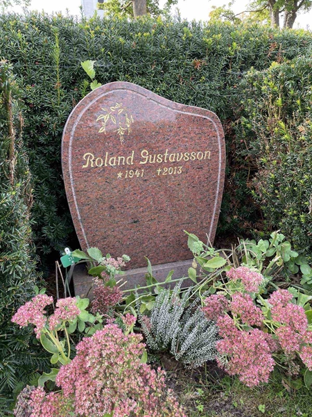 Hautatunnus: Kaga ny   231