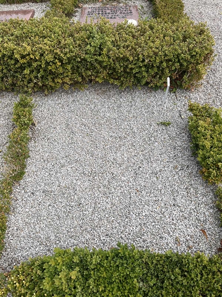 Grave number: VK I:u    40
