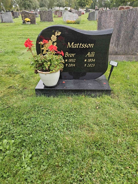 Grave number: Fr 8   145-146