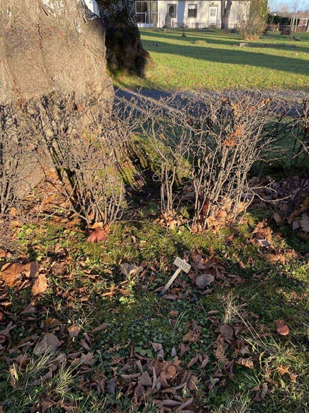 Gravnummer: GK U 2    11