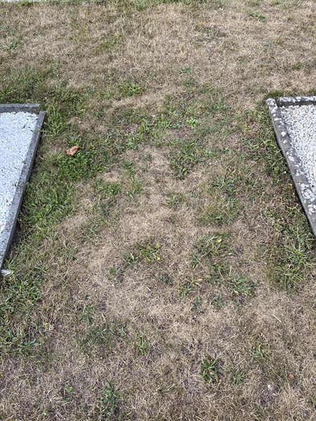 Grave number: NK XX:u   320