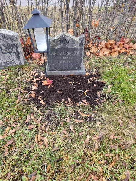 Grave number: 1 20  287