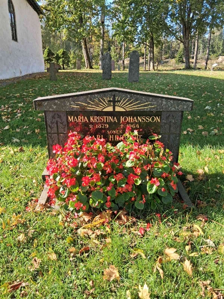 Hautatunnus: SRG 1    42A