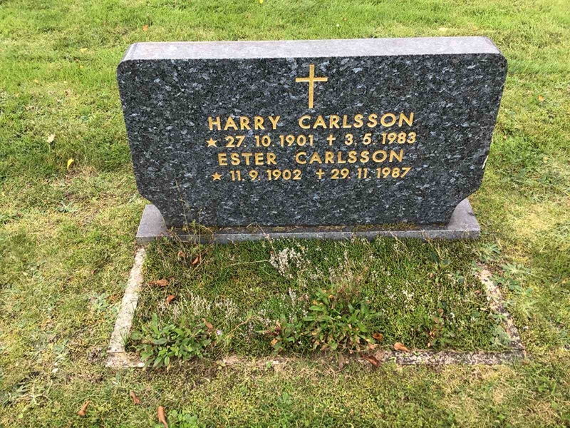 Grave number: 20 N   124-125