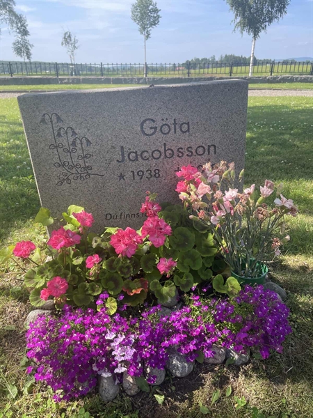 Grave number: H 8    25