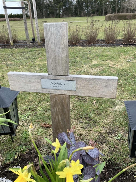 Hautatunnus: R 03   216, 217