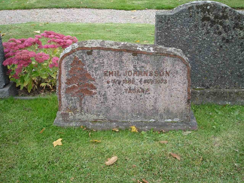 Grave number: FN D     3