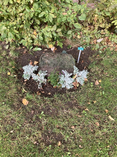 Grave number: 2 N 11