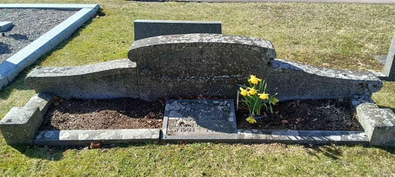 Hautatunnus: 3 Ga D    13-15