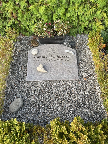 Grave number: NK Urn n     7