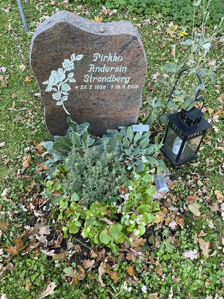 Hautatunnus: 1 H   503