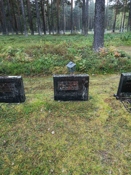 Hautatunnus: VLM 10    31:1