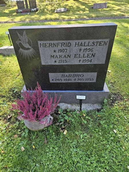 Hautatunnus: Fr 7   313-314