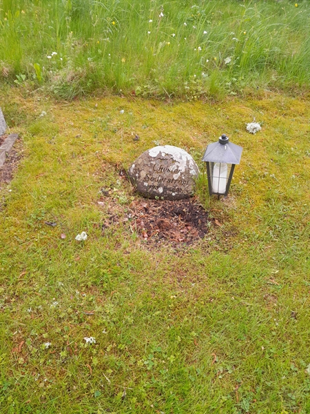 Hautatunnus: ROG K    9