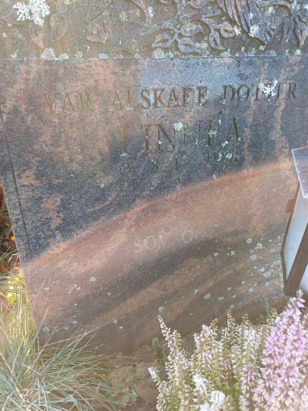 Grave number: JÄ 3 7461