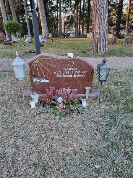 Hautatunnus: 3 03  445, 446