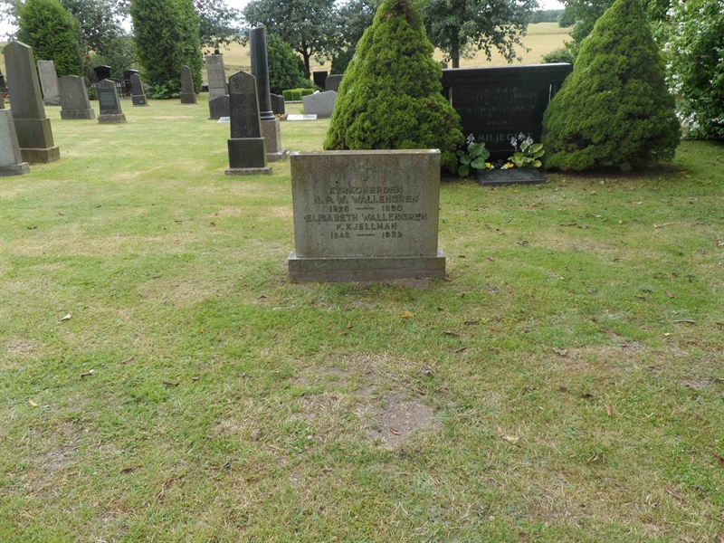 Grave number: ÖV A    64