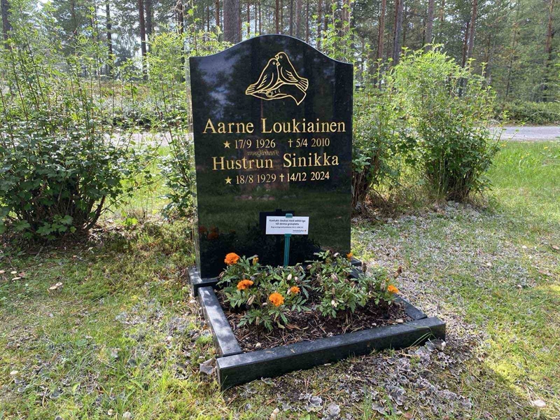 Grave number: 3 15   131