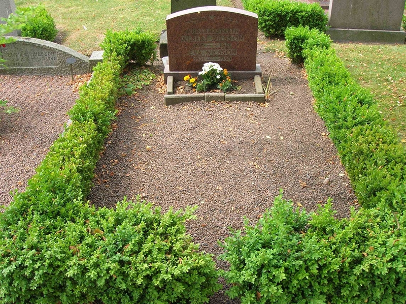 Grave number: BK KV2    35