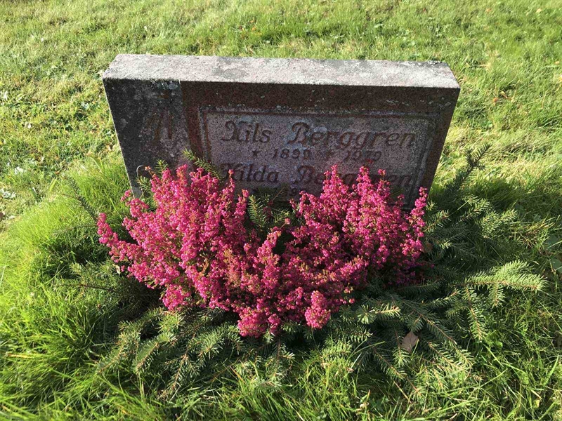 Grave number: ÅR B   100, 101