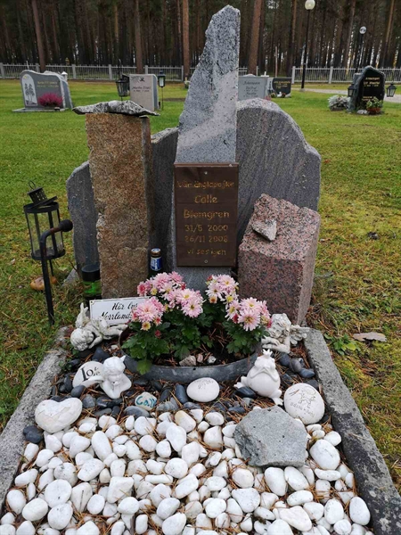 Hautatunnus: VLM 12    23