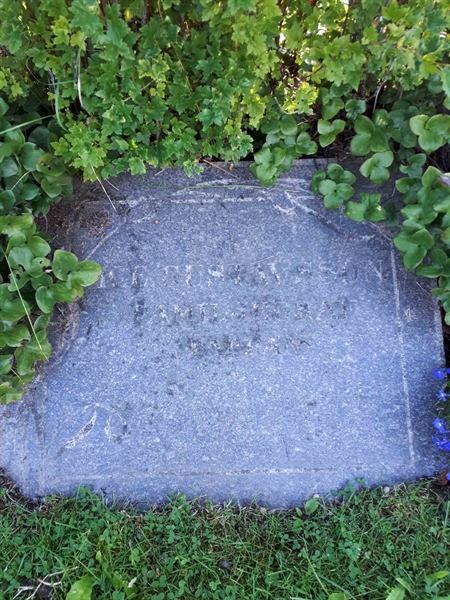 Hautatunnus: GK F 5   460