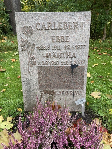 Gravnummer: 1 H   110