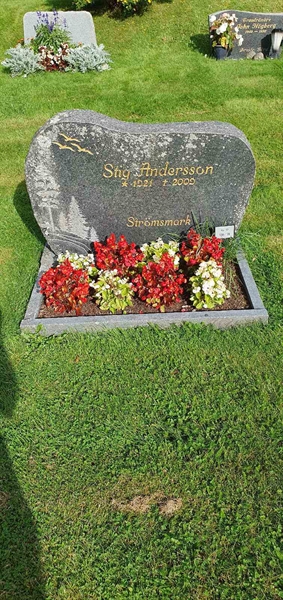 Grave number: Jä 12   138-139