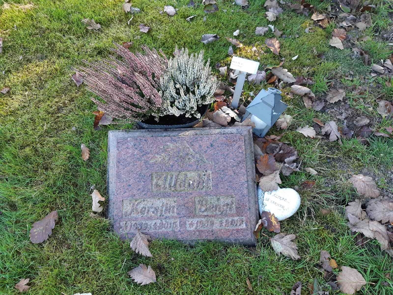 Grave number: Fr 8    96-97