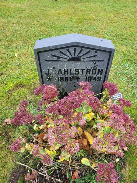 Grave number: R RR    50