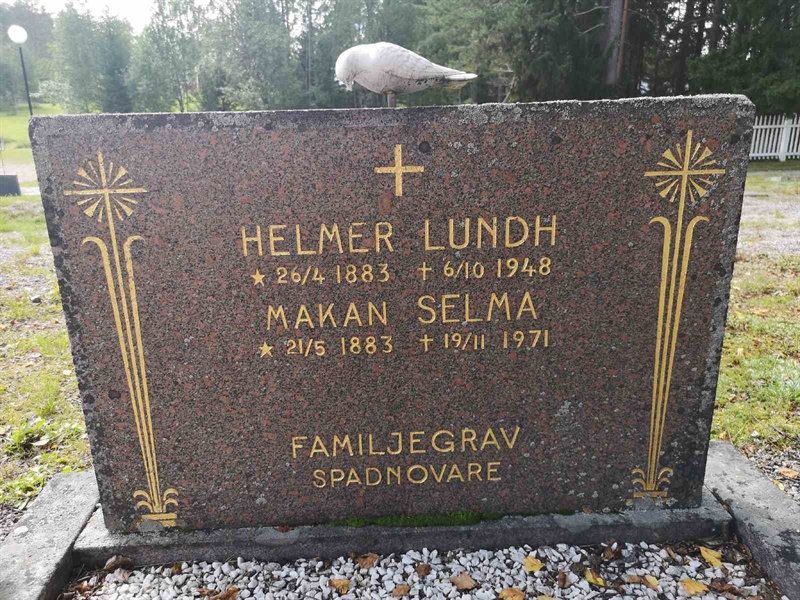 Hautatunnus: POK 13     4