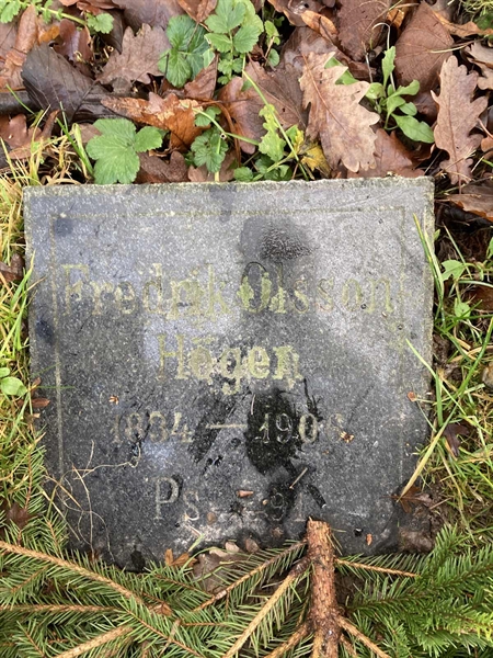 Grave number: SRN 1 699