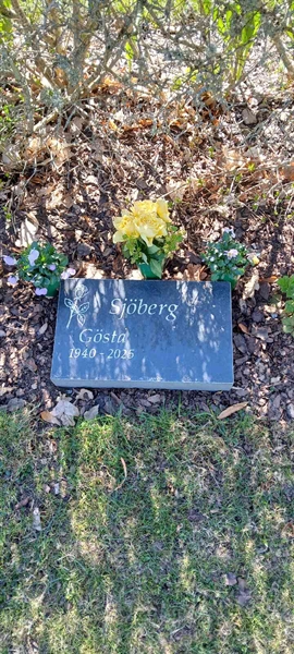 Grave number: 3 Nya U2     7