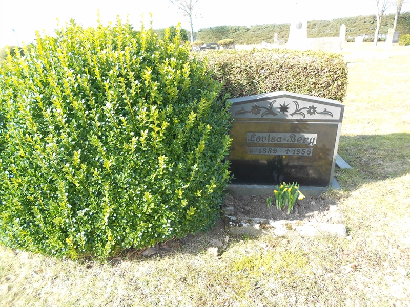 Grave number: V 21    81A