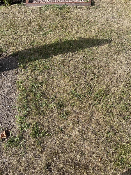 Grave number: NK XX:u   316
