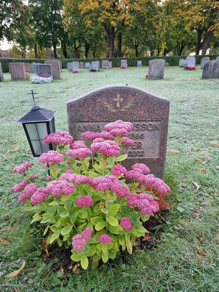 Grave number: 1 13   78, 79