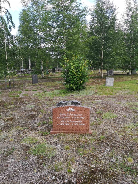 Gravnummer: SK N    10