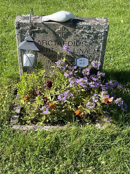 Grave number: 6 C    36-37