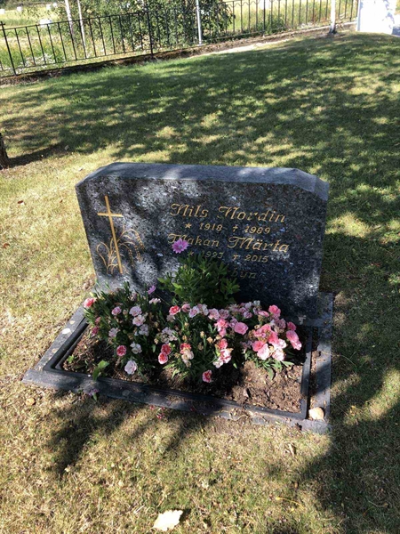 Hautatunnus: 3 M    11-12