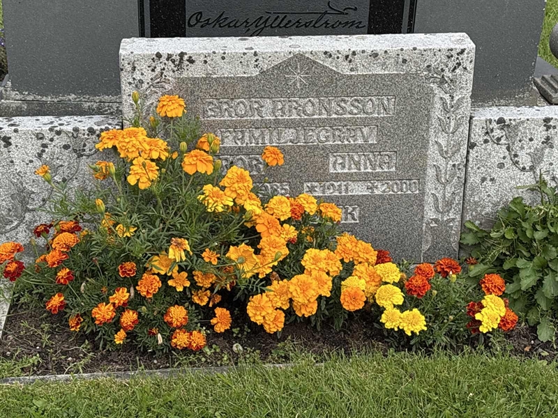 Grave number: SÄ GA  1482